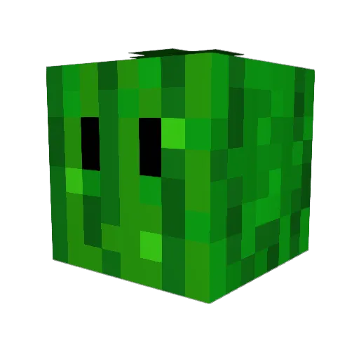 Zucch1na Minecraft avatar head, 3D render