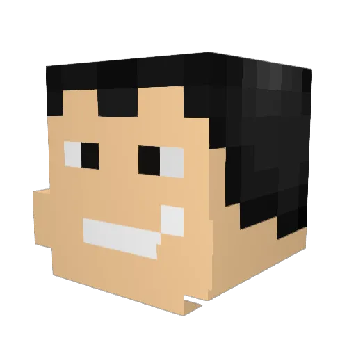Zuccmc1 Minecraft avatar head, 3D render