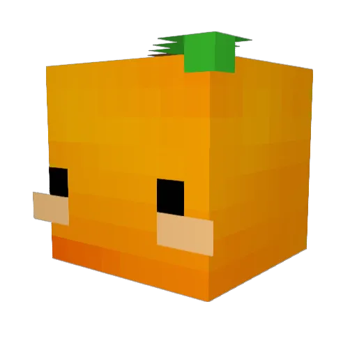 Zucco191 Minecraft avatar head, 3D render