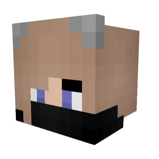 Zuckerfolcke Minecraft avatar head, 3D render