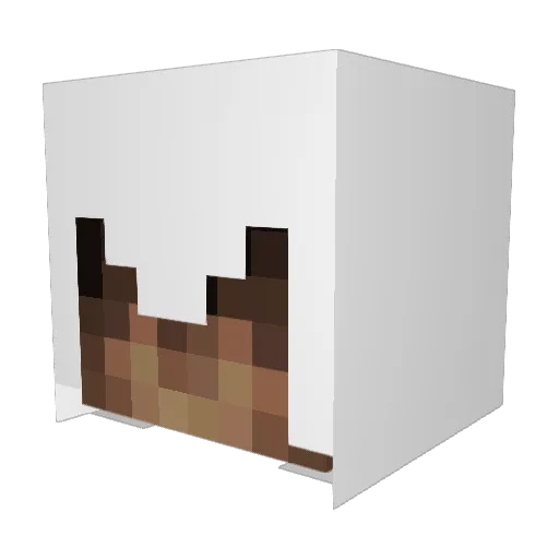 Zuckmayer Minecraft avatar head, 3D render