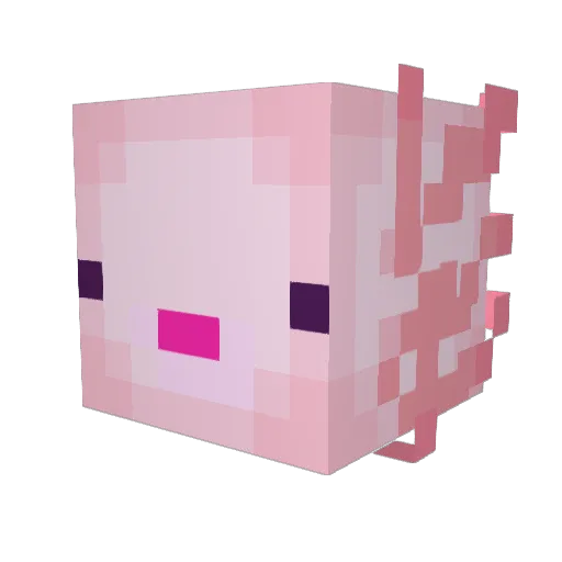 Zugger215 Minecraft avatar head, 3D render