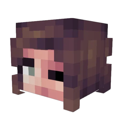 Zuidesi Minecraft avatar head, 3D render