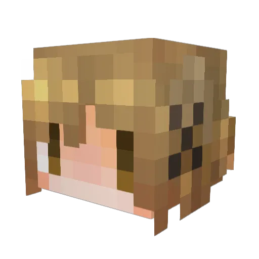 Zuikoba Minecraft avatar head, 3D render