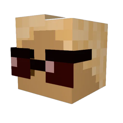 Zuil1 Minecraft avatar head, 3D render