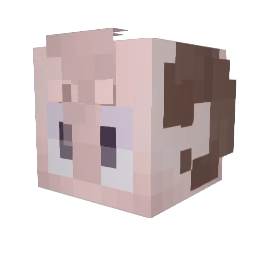 Zujalo_ Minecraft avatar head, 3D render