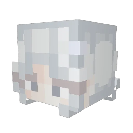 Zukajito Minecraft avatar head, 3D render