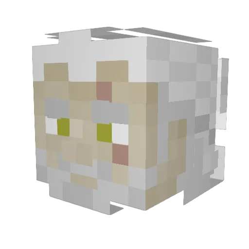 Zukato23 Minecraft avatar head, 3D render