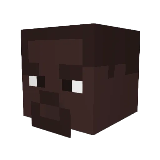 ZukoOT Minecraft avatar head, 3D render