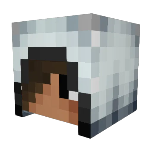 ZuluTango99 Minecraft avatar head, 3D render