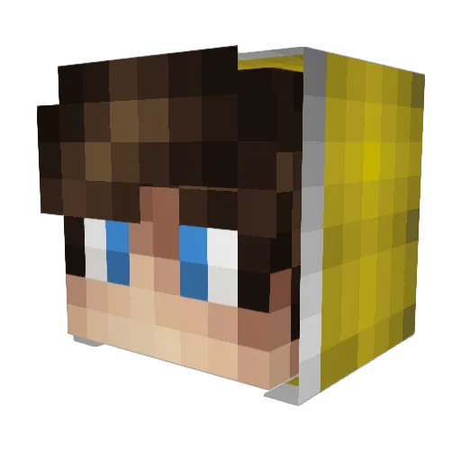 Zuma123 Minecraft avatar head, 3D render