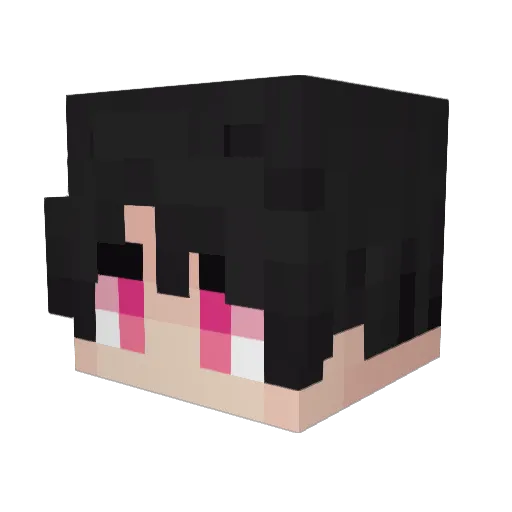 Zumalebs007 Minecraft avatar head, 3D render