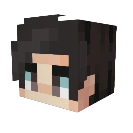 Zume04 Minecraft avatar head, 3D render
