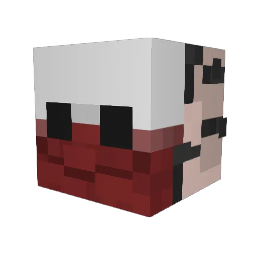 Zumgamer Minecraft avatar head, 3D render