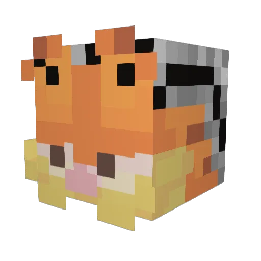 ZunkFunk Minecraft avatar head, 3D render