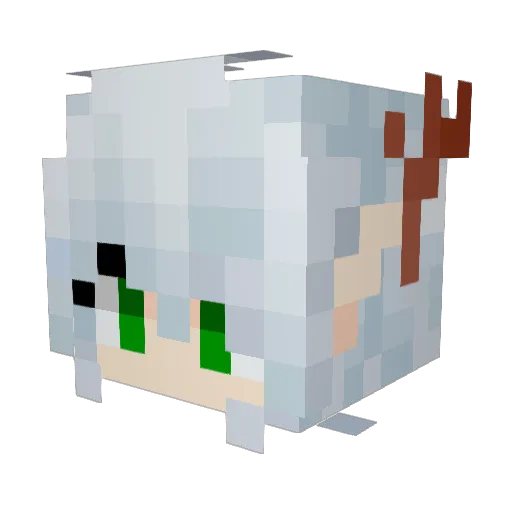 Zuo_Mu Minecraft avatar head, 3D render