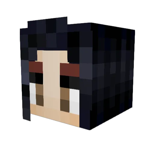 Zurdo Minecraft avatar head, 3D render