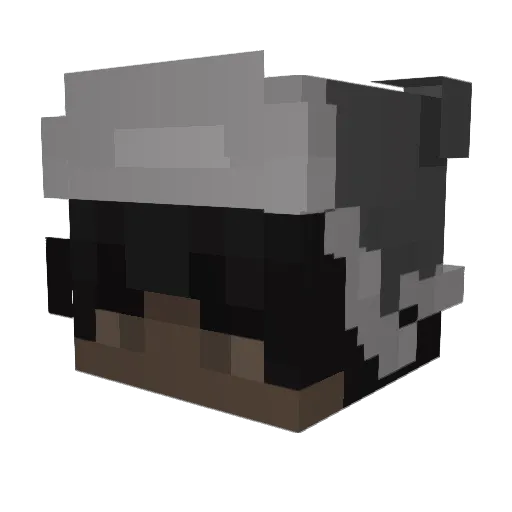 Zuriire Minecraft avatar head, 3D render