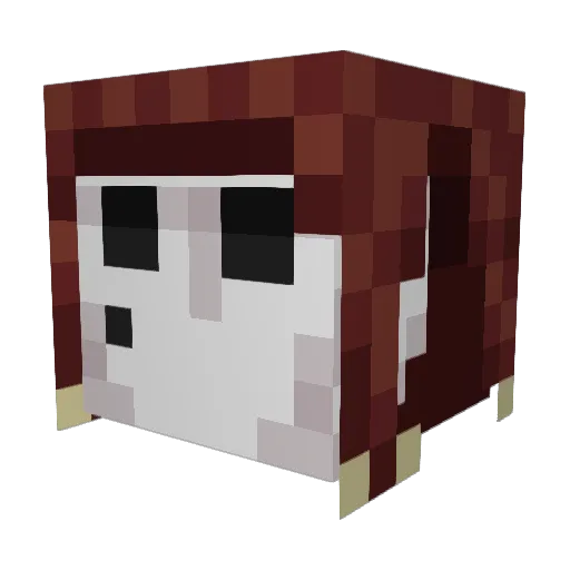 Zurtel Minecraft avatar head, 3D render