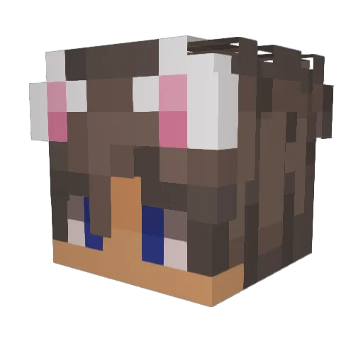 Zuruckt Minecraft avatar head, 3D render