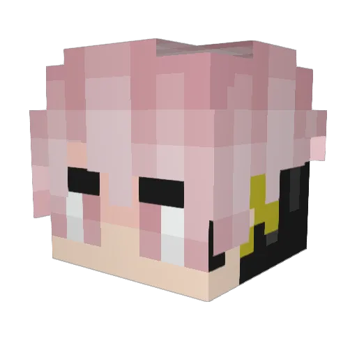 Zusi_ Minecraft avatar head, 3D render