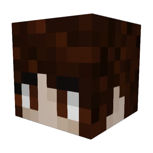 Zusu03 Minecraft avatar head, 3D render