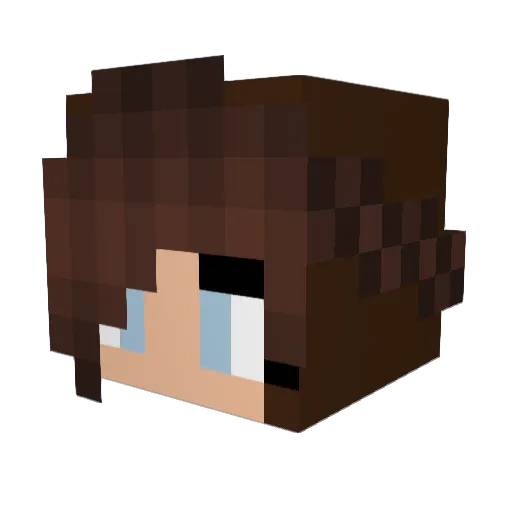 Zuza_PL Minecraft avatar head, 3D render