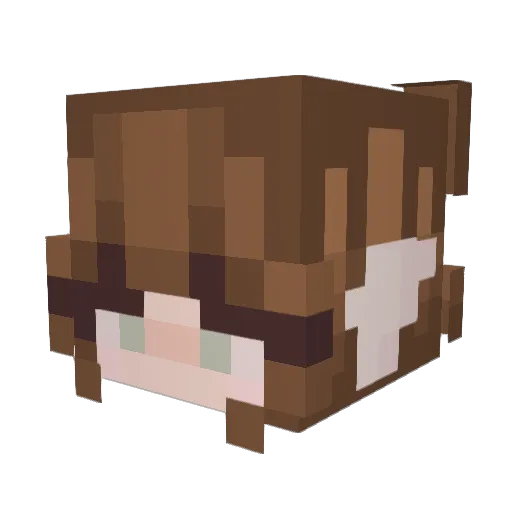 Zuzanka2008 Minecraft avatar head, 3D render