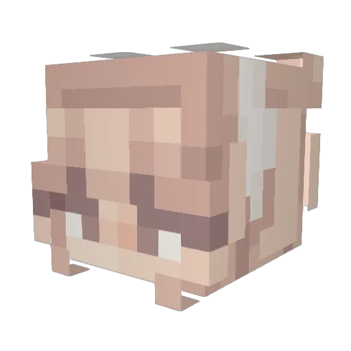 Zuzieks Minecraft avatar head, 3D render