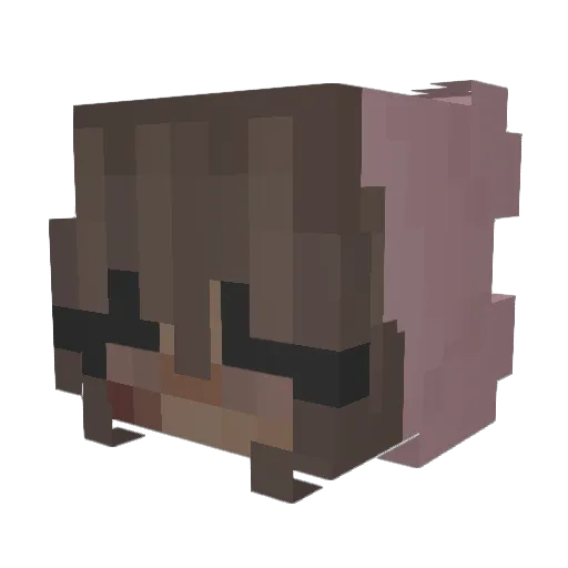 Zuzkana Minecraft avatar head, 3D render