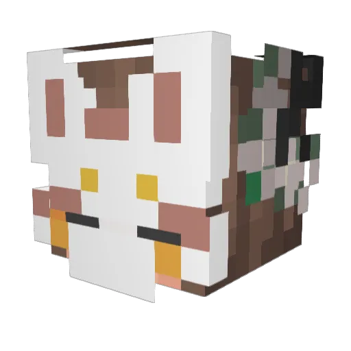 ZuzuBe12 Minecraft avatar head, 3D render
