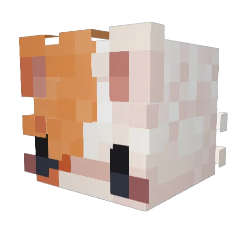 Zuzuiina Minecraft avatar head, 3D render