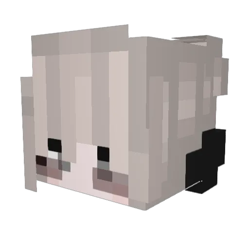 Zuzz Minecraft avatar head, 3D render