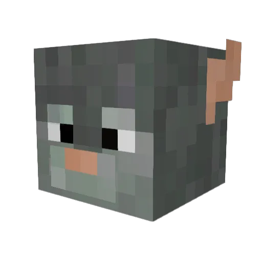 Zv_Tac Minecraft avatar head, 3D render