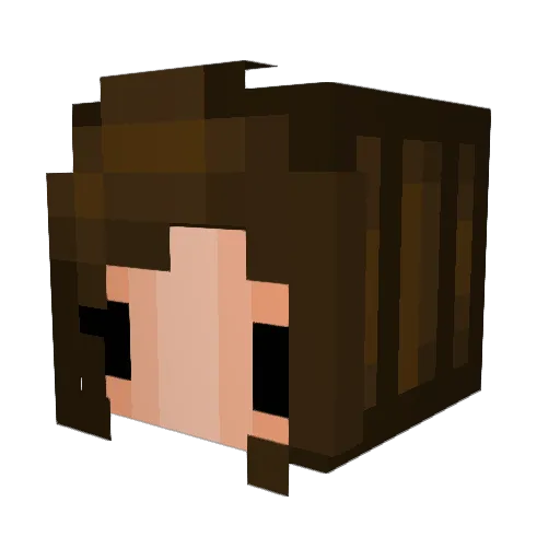 Zvaine Minecraft avatar head, 3D render