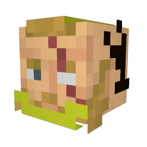 Zvberster Minecraft avatar head, 3D render