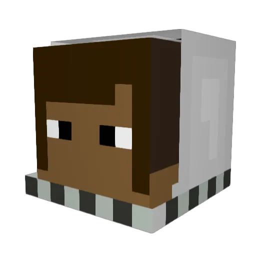 Zwaany Minecraft avatar head, 3D render