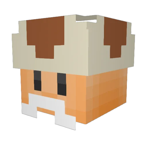 Zwaj Minecraft avatar head, 3D render