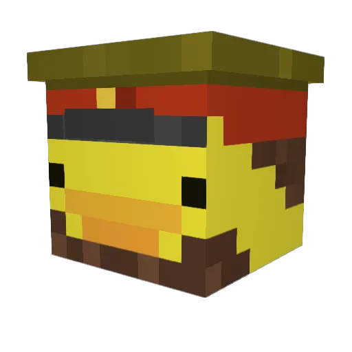 Zwan_DK Minecraft avatar head, 3D render