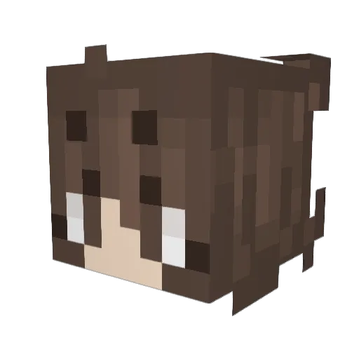 Zwarheart Minecraft avatar head, 3D render