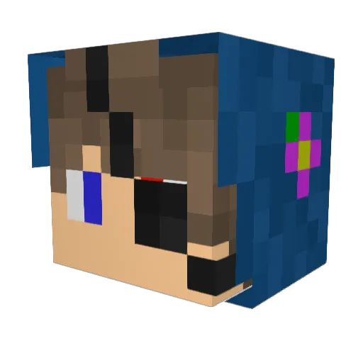 Zwartkat Minecraft avatar head, 3D render