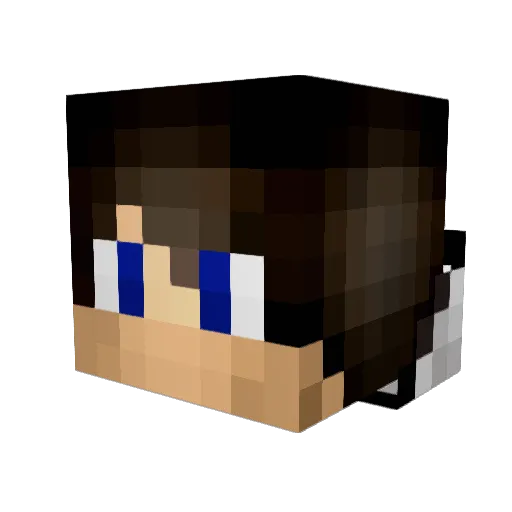Zwayne1128 Minecraft avatar head, 3D render