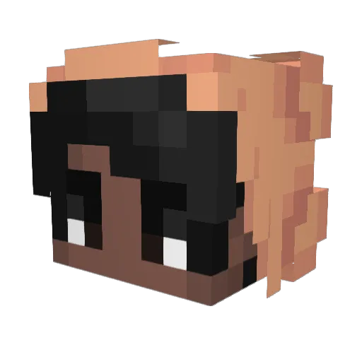 Zweedeez Minecraft avatar head, 3D render