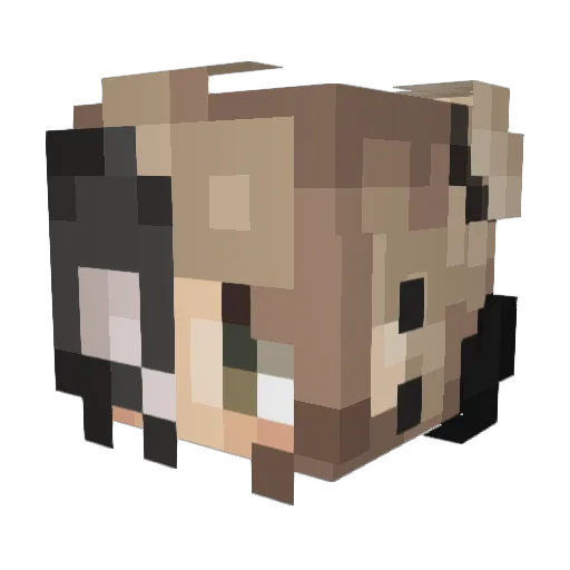 Zwegaphant Minecraft avatar head, 3D render