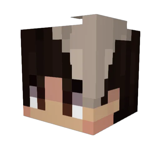 ZweiXY Minecraft avatar head, 3D render