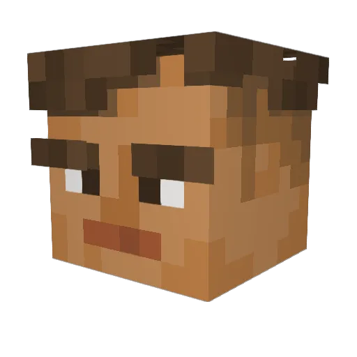 Zwiebelpulver Minecraft avatar head, 3D render