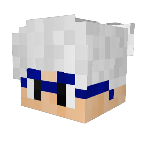 Zwishh Minecraft avatar head, 3D render