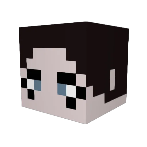 Zwitter24 Minecraft avatar head, 3D render