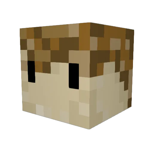 Zwitzy Minecraft avatar head, 3D render