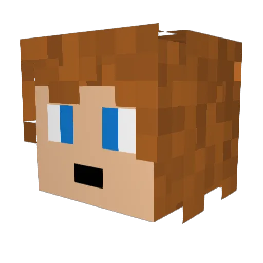 Zwolfcub Minecraft avatar head, 3D render